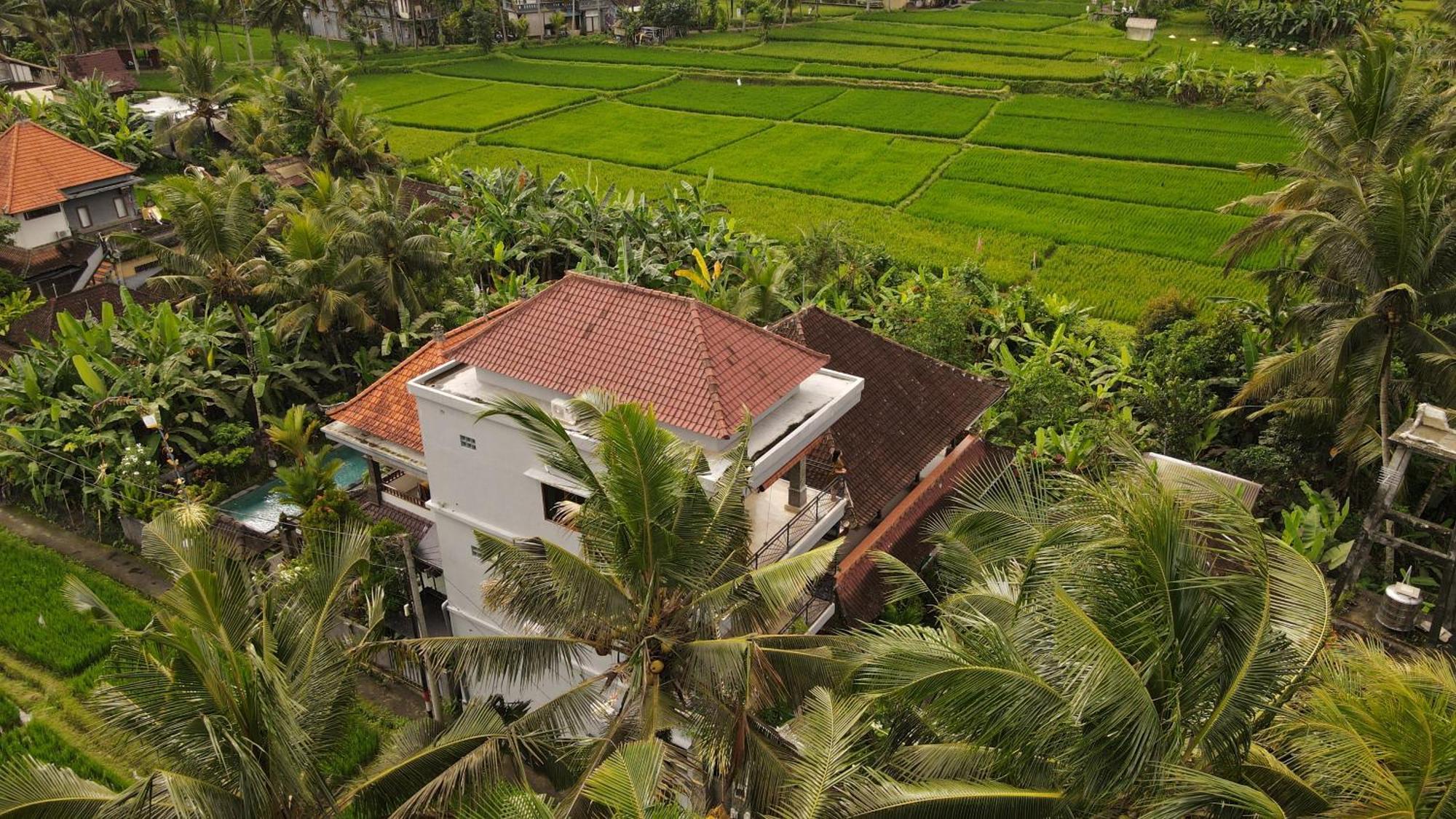 Nirwa 1 Ubud Guesthouse Экстерьер фото