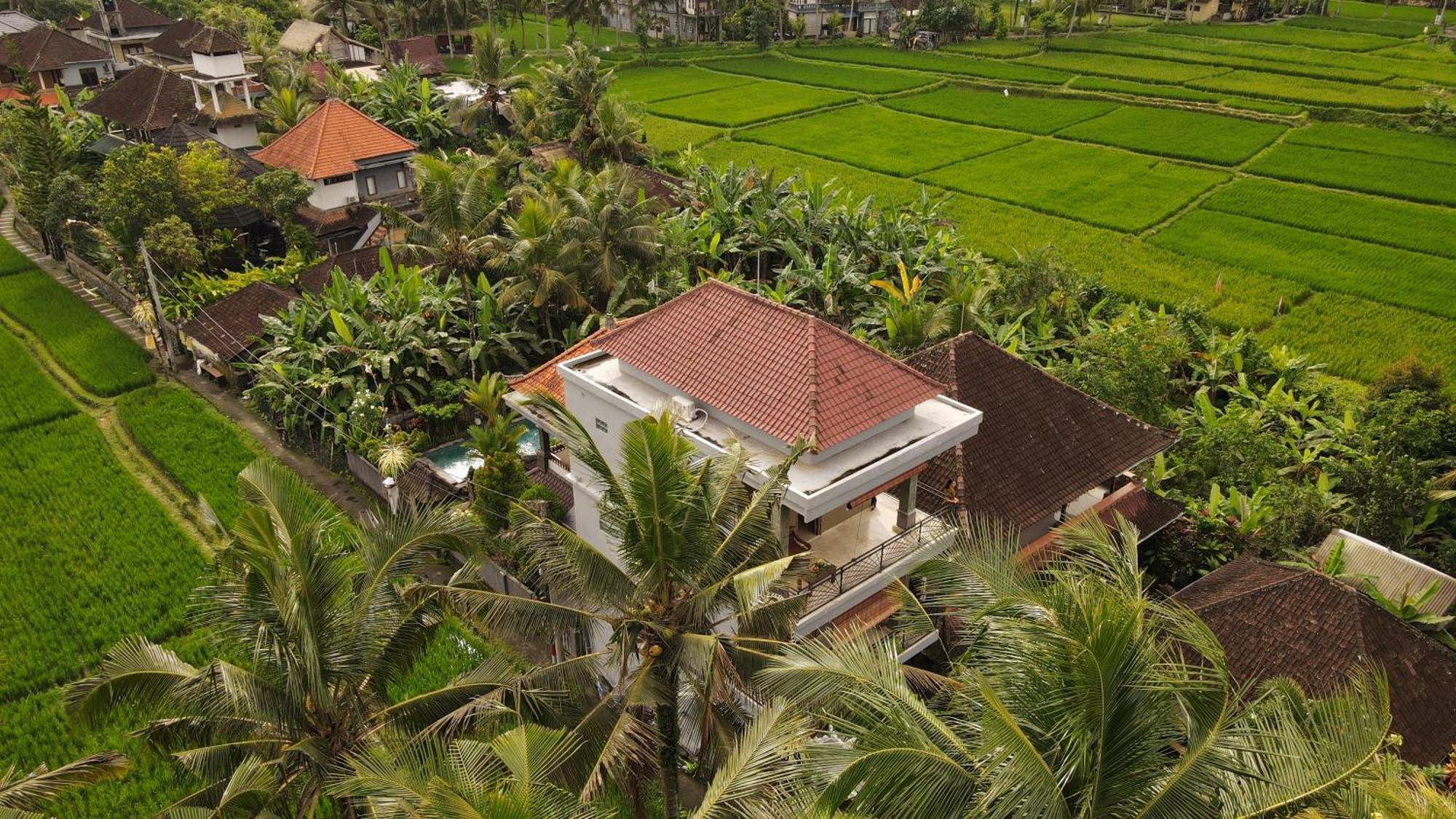 Nirwa 1 Ubud Guesthouse Экстерьер фото